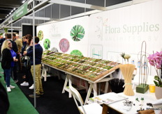 Succulents Unlimited en Flora Supplies Unlimited hadden een volle stand.